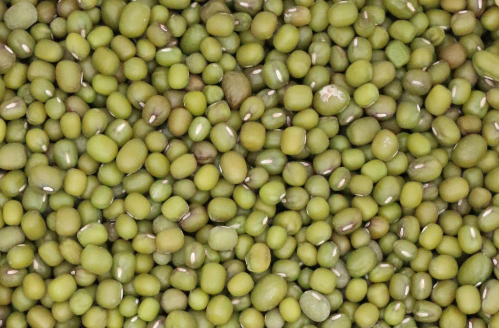 Green Mung Bean
