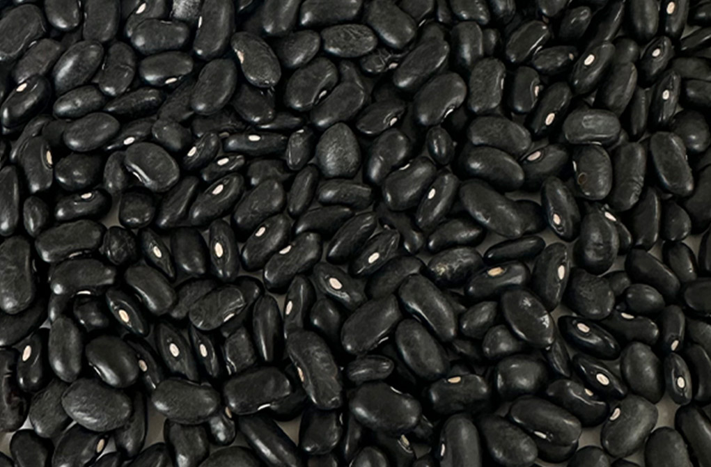 Black Kidney Beans